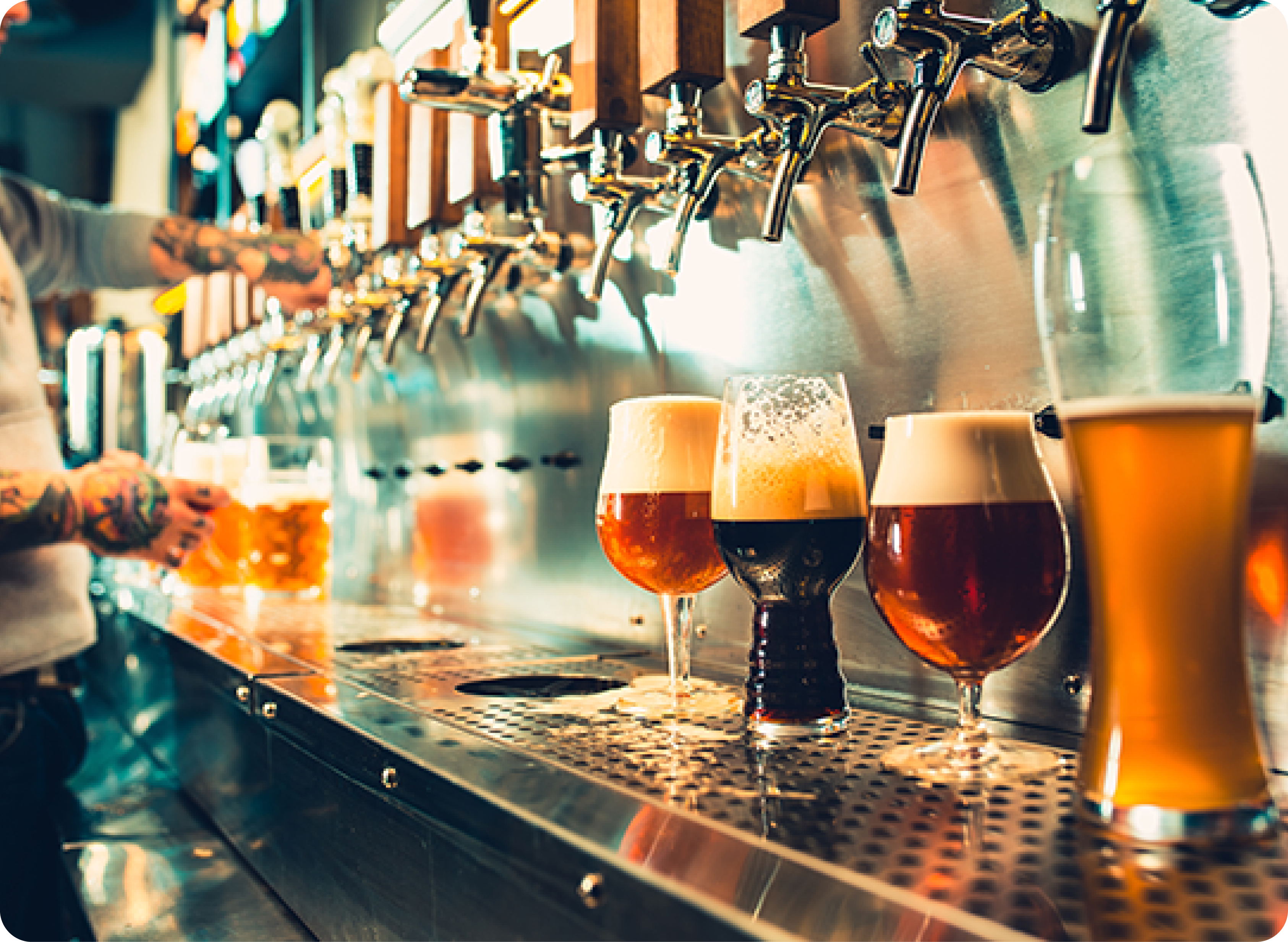 brewery bar brewery bar