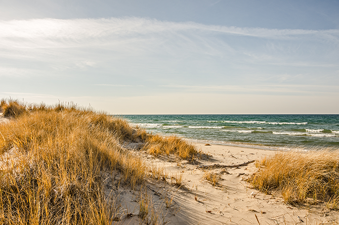 Michigan dune coastline
