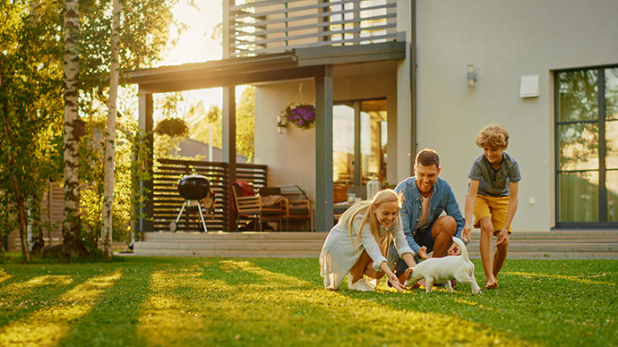 Smiling Father, Mother and Son Playing with Terrier Retriever Dog