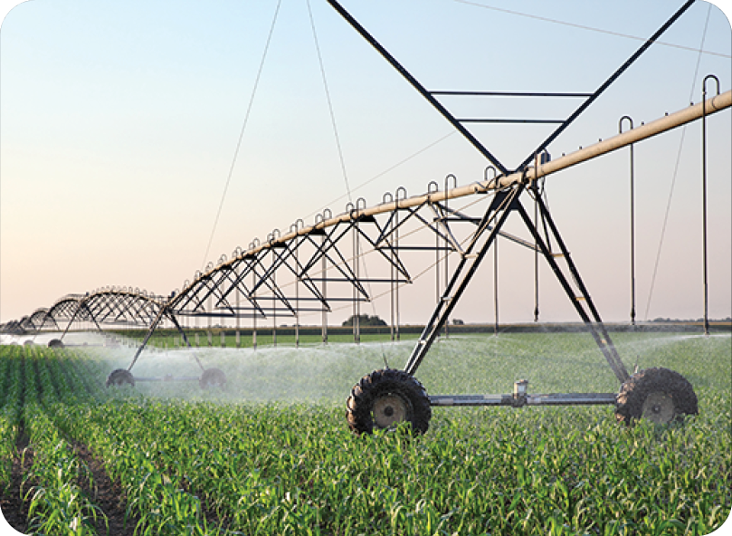 Corn field in spring with irrigation system for water supply Corn field in spring with irrigation system for water supply