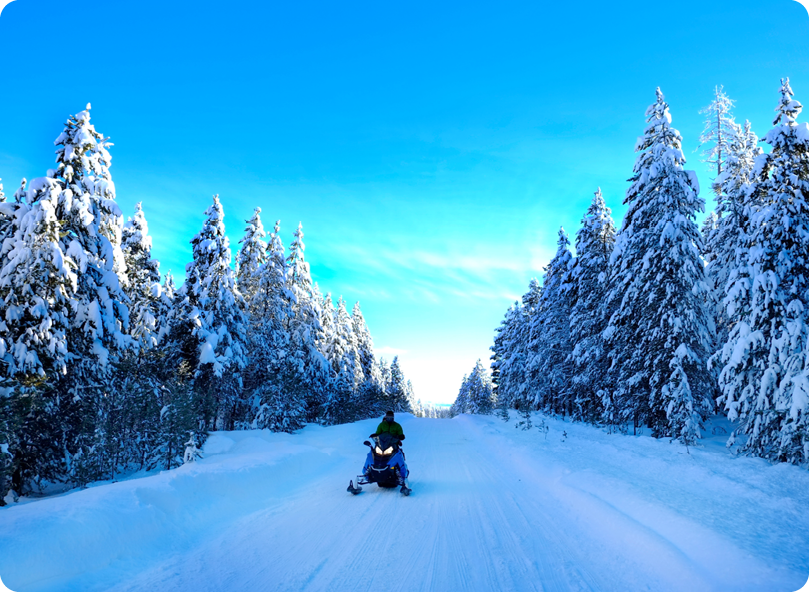 pre-approved-snowmobile-website-images snowmobiling on forest trails